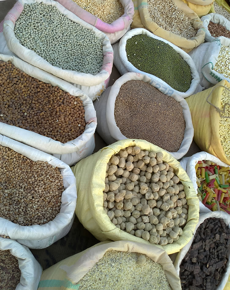 Integrated agricultural operations